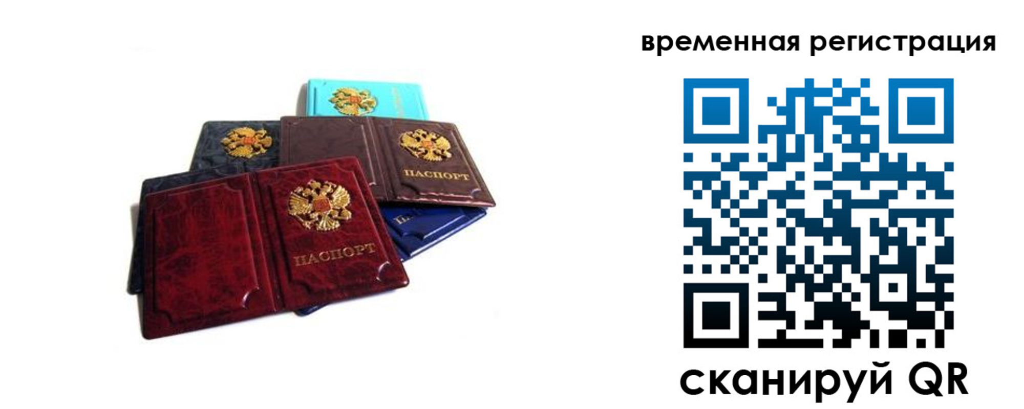 прописка гарантия в Камне-на-Оби